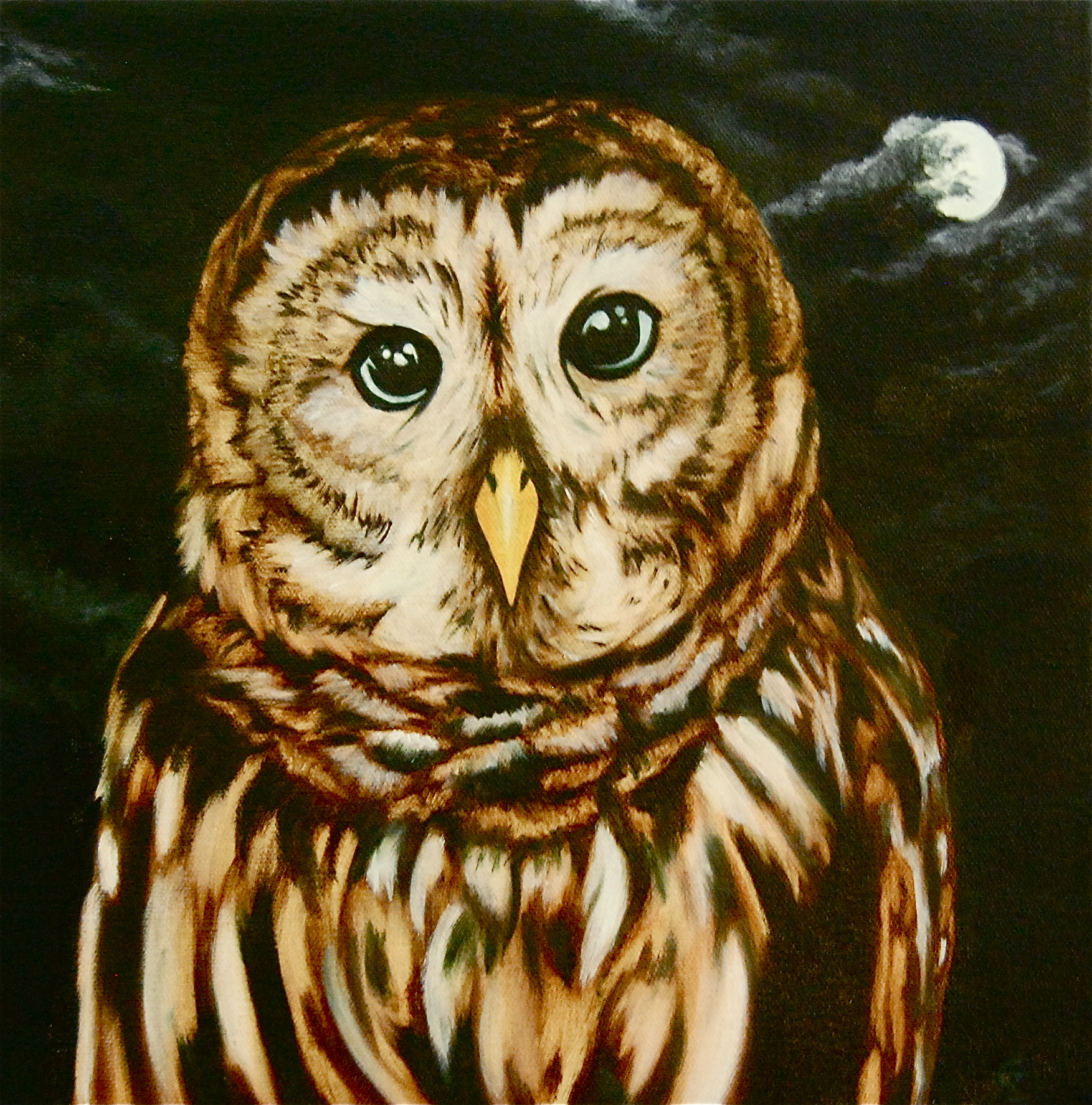 Untitled Owl
